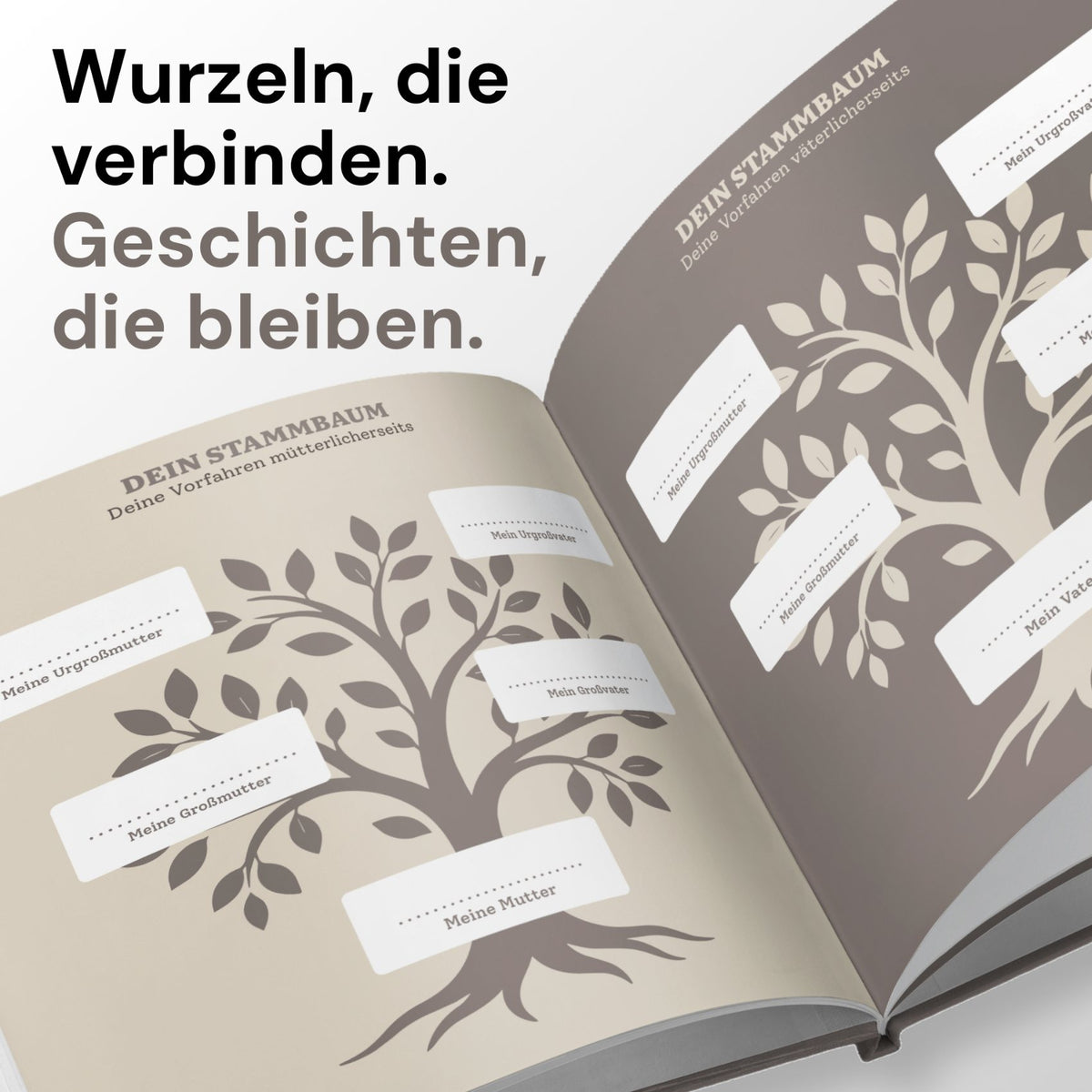Opa, erzähl mir deine Geschichte