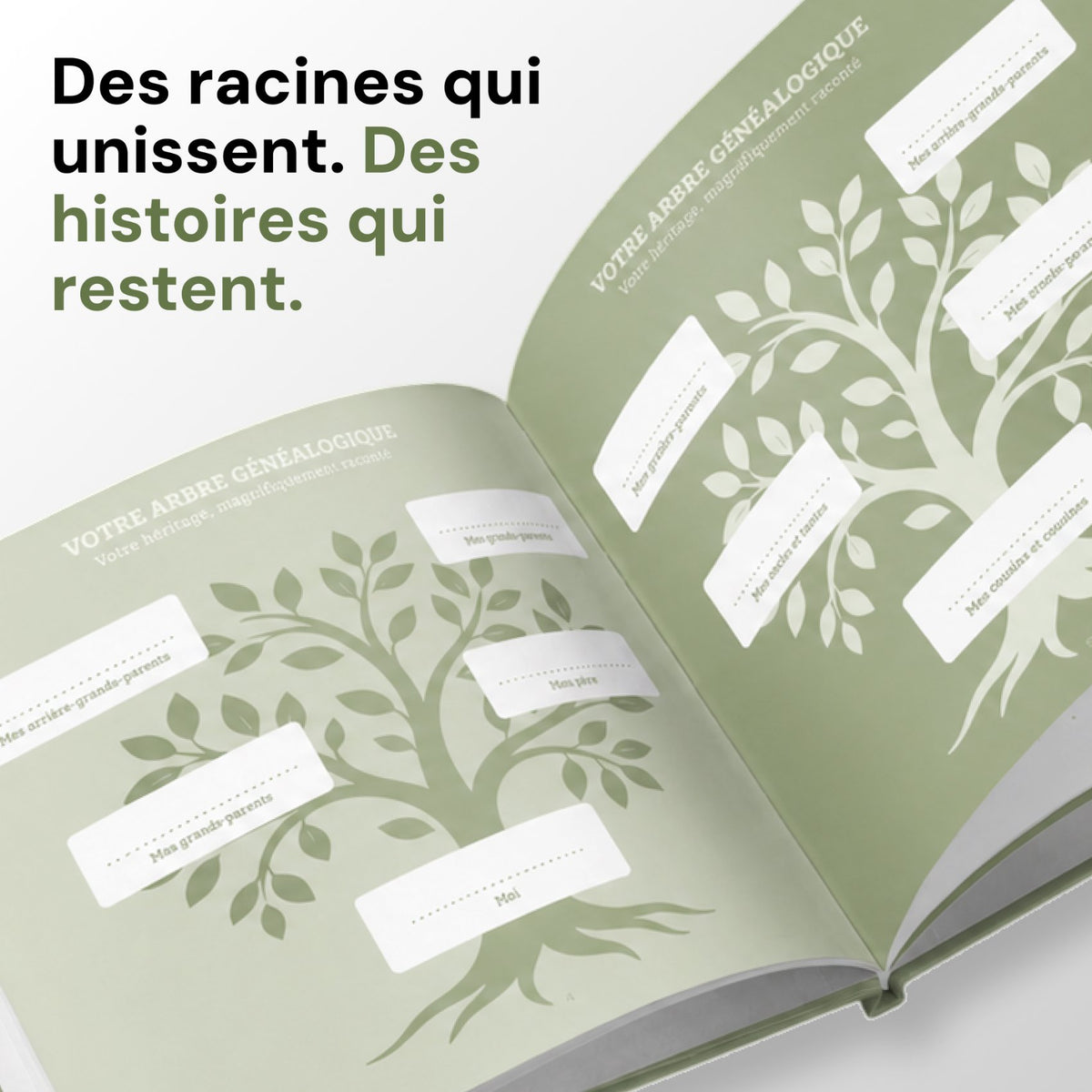 Papa, raconte-moi ton histoire