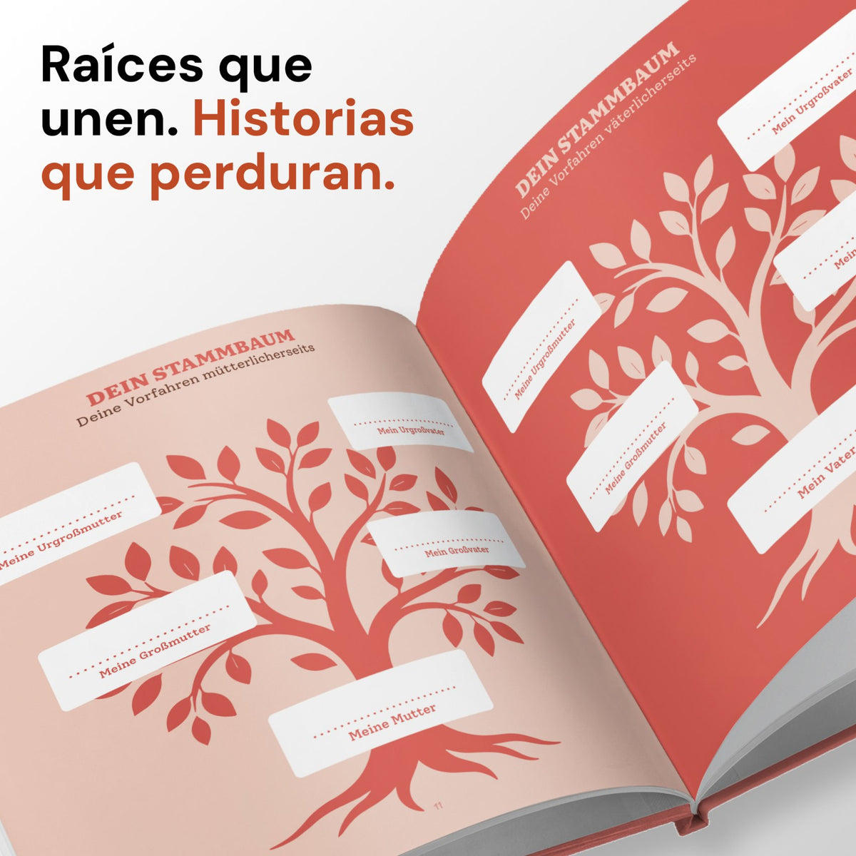 Mamá, cuéntame tu historia