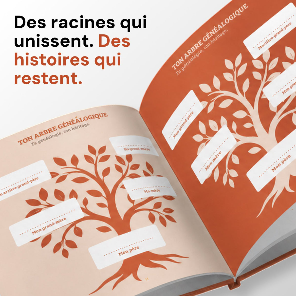 Maman, raconte-moi ton histoire