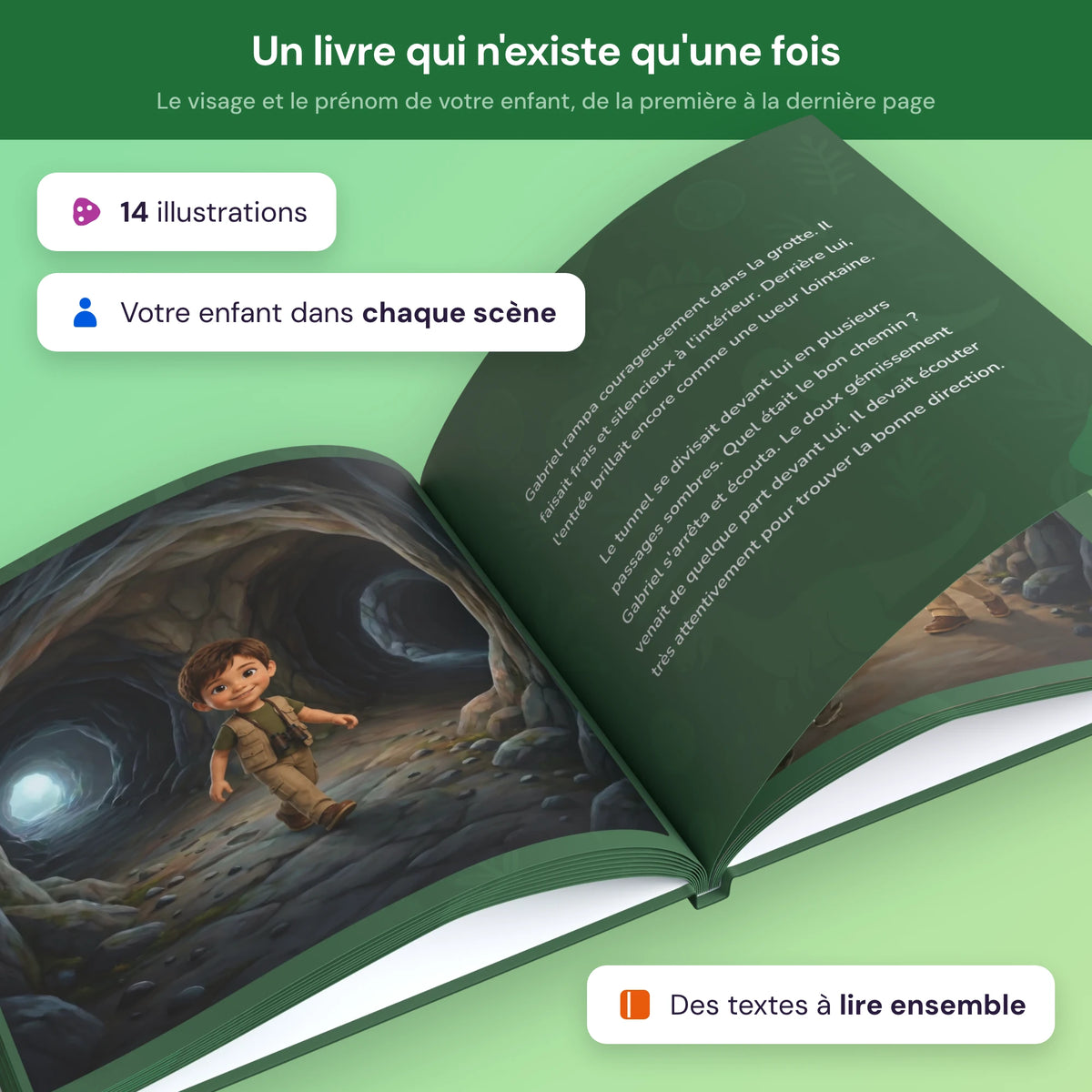 dinosaur fr dinosaur_fr_product_4.webp