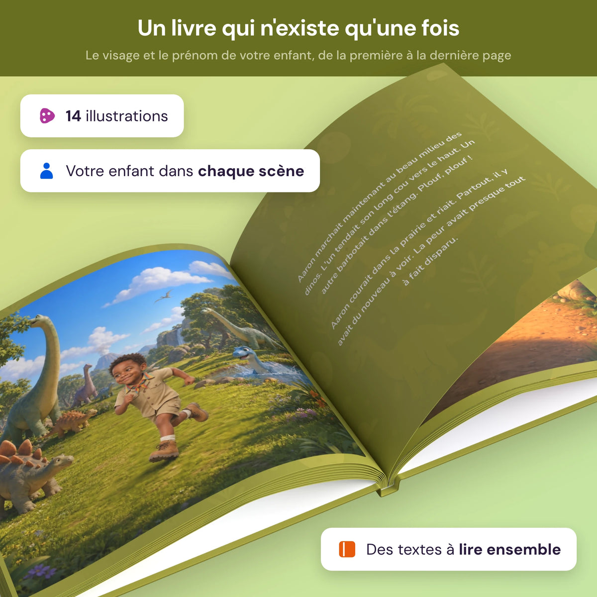 dinosaur_island fr dinosaur_island_fr_product_4.webp