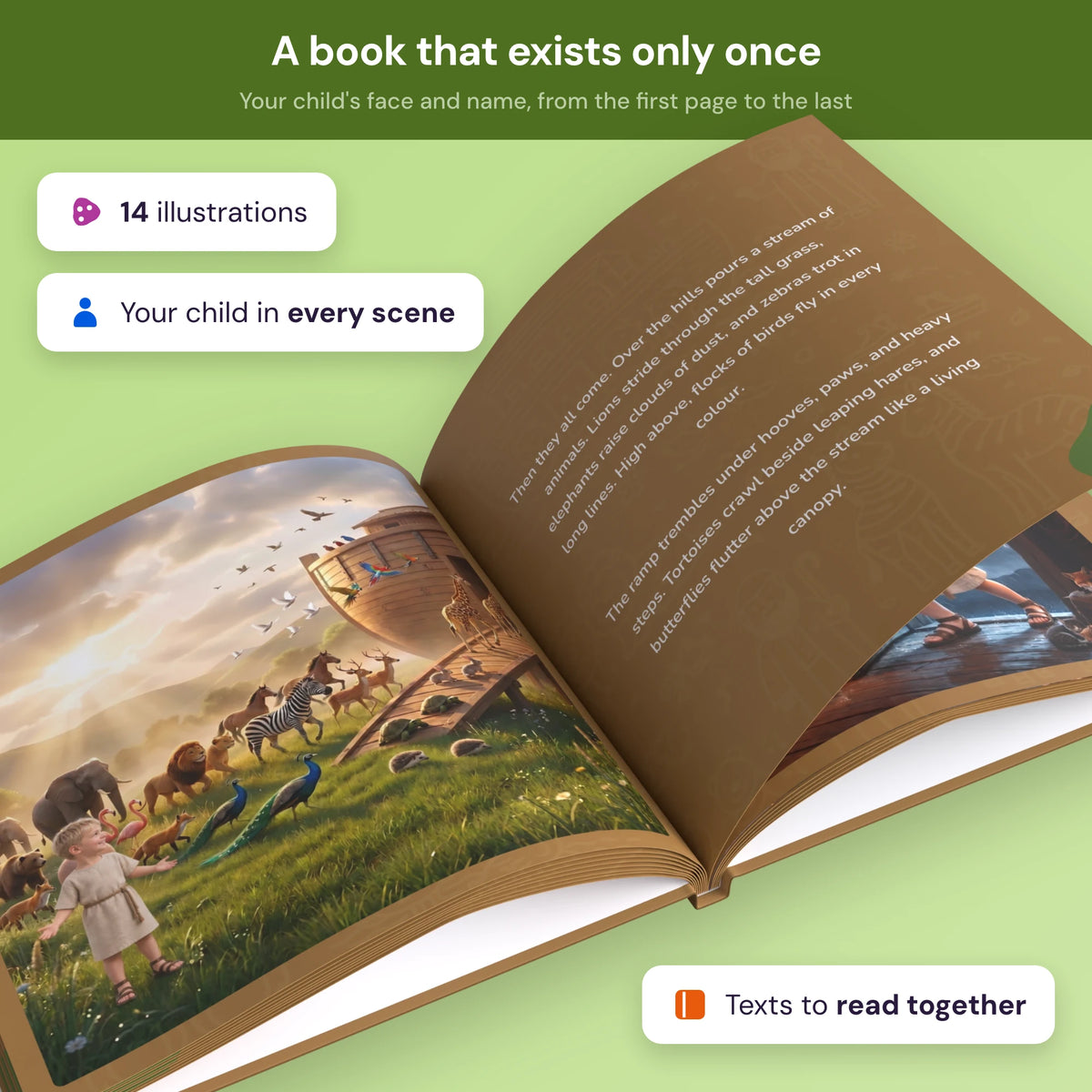 noahs_ark en_nz noahs_ark_en_nz_product_4_v8.webp