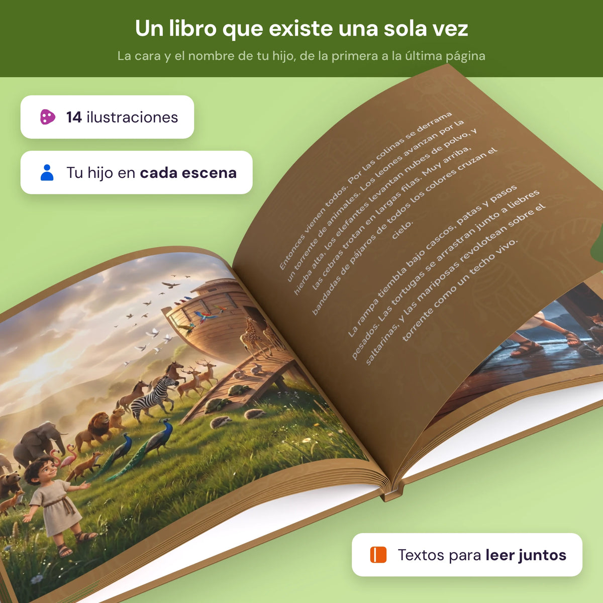 noahs_ark noahs_ark_product_4.webp