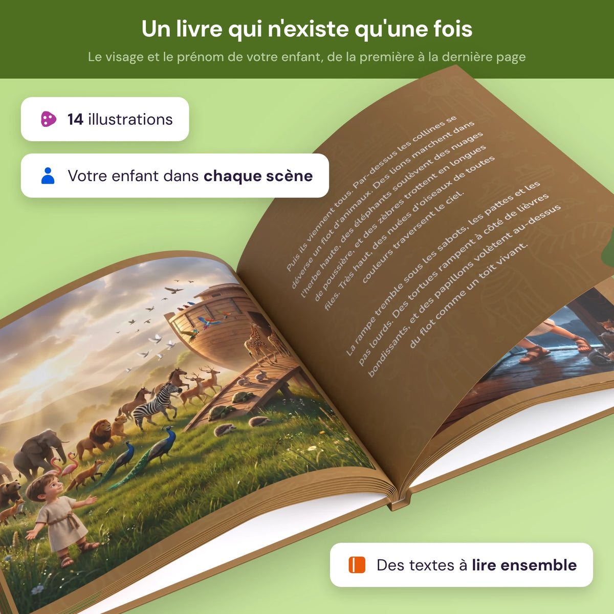 noahs_ark noahs_ark_product_4.webp
