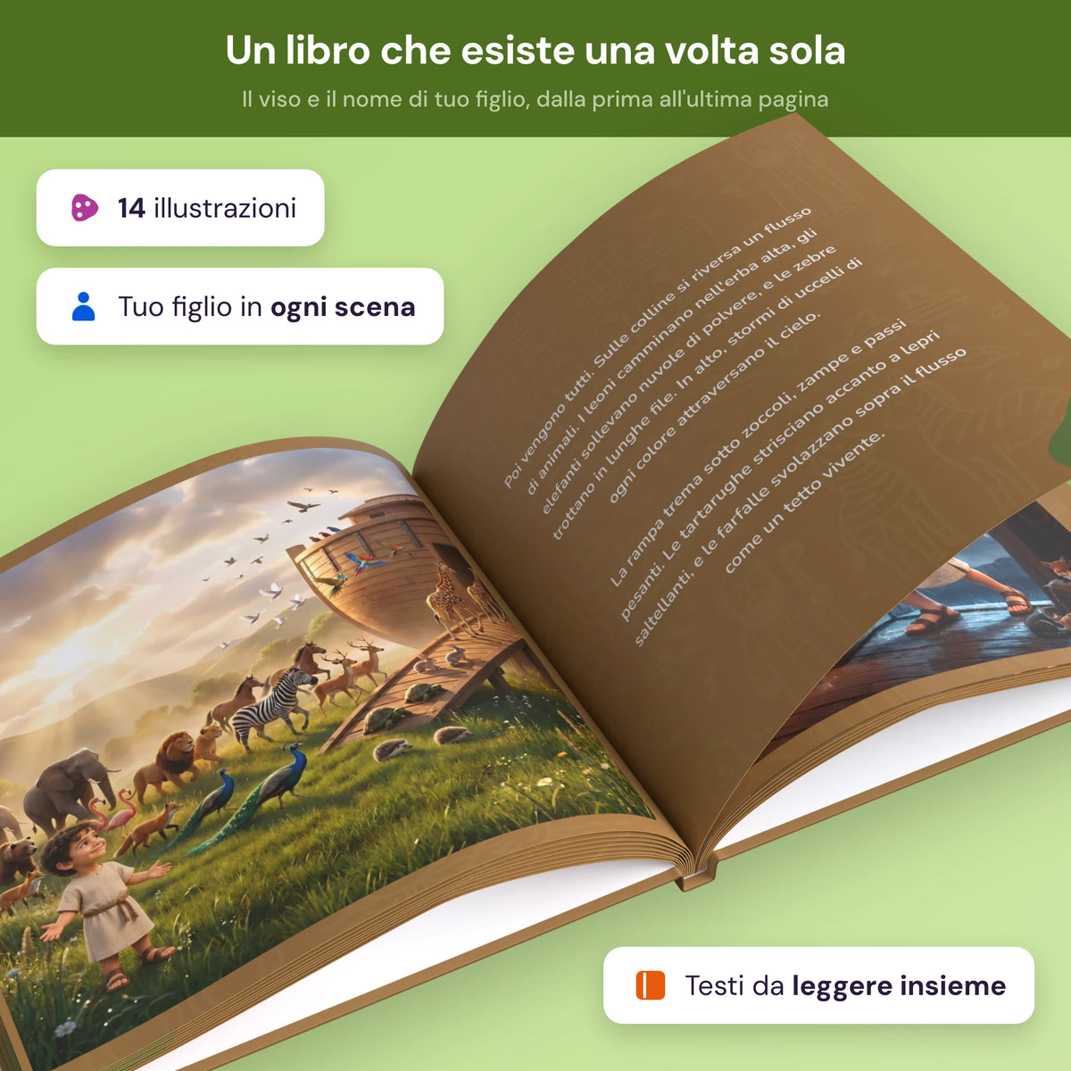 noahs_ark it noahs_ark_it_product_4.webp