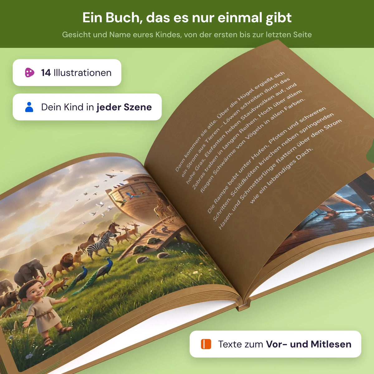 noahs_ark noahs_ark_product_4.webp