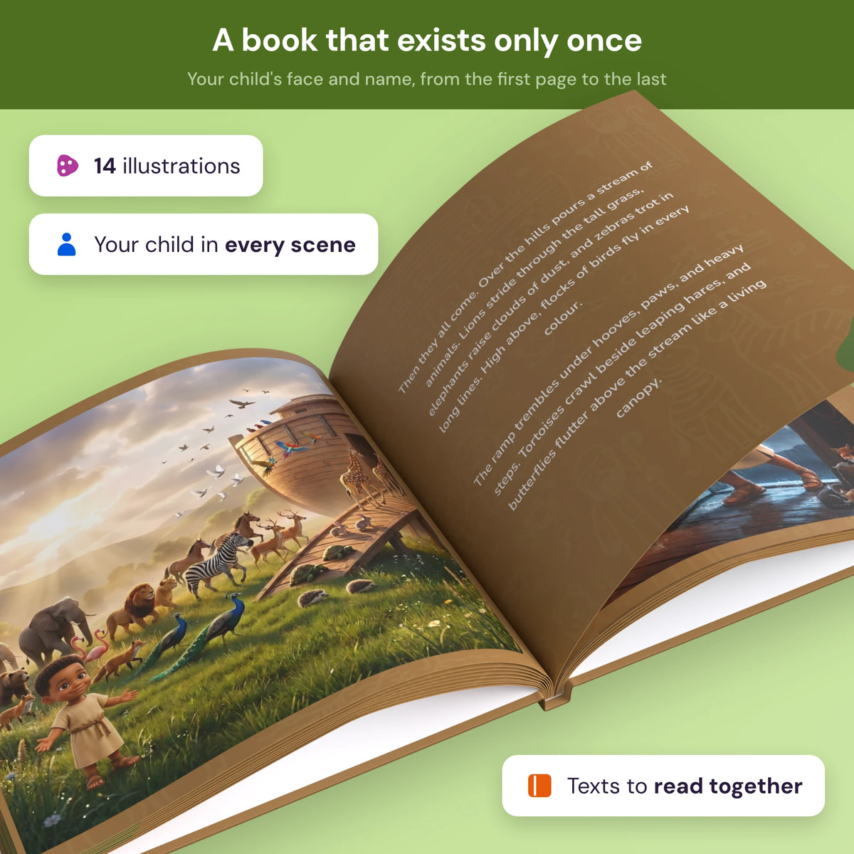 noahs_ark noahs_ark_product_4.webp